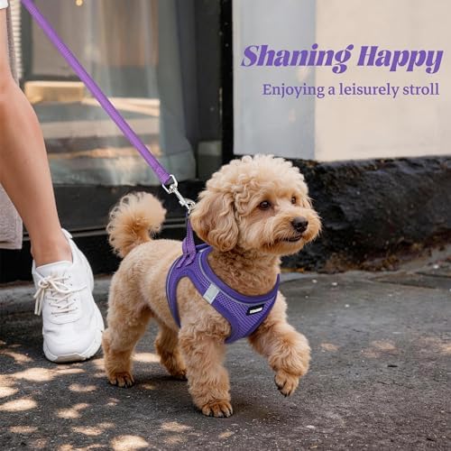 No Pull Dog Puppy Harness and Leash Set Reflective Mesh Vest X-Small - Image 6
