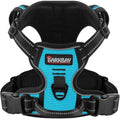 BARKBAY Dog Harness for Medium Sized Dog No Pull 2 Leash Clips Dog Vest by BARKBAY
