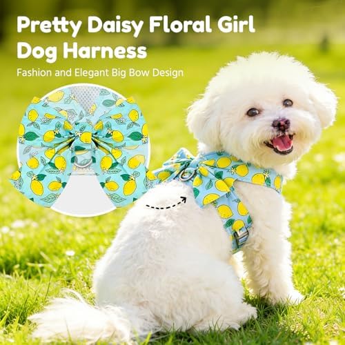BAEJMJK Dog Harness and Leash Set - Image 2