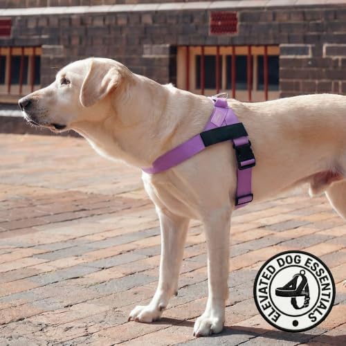 Dog Friendly Co. Dog Harness for Small Dogs, Adjustable - Image 5