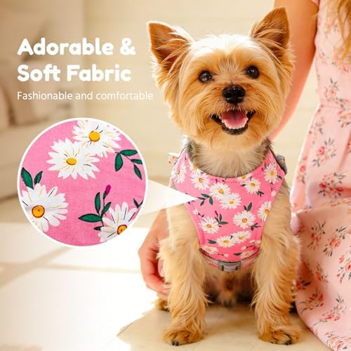 BAEJMJK Dog Harness and Leash Set - Image 3