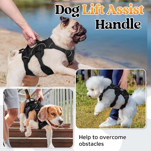 rabbitgoo Escape Proof Dog Harness - Image 3