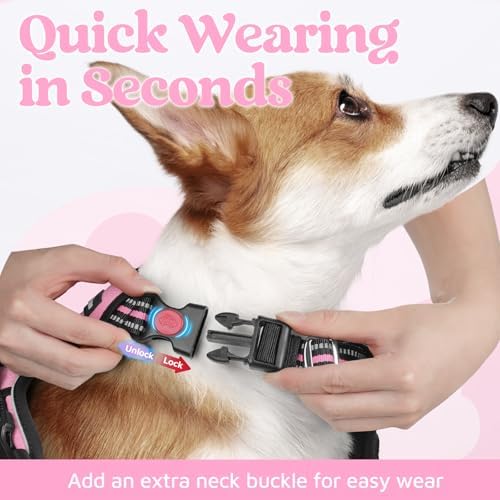 rabbitgoo Dog Harness Small Sized, No Pull 3 Buckles Easy On & Off - Image 2