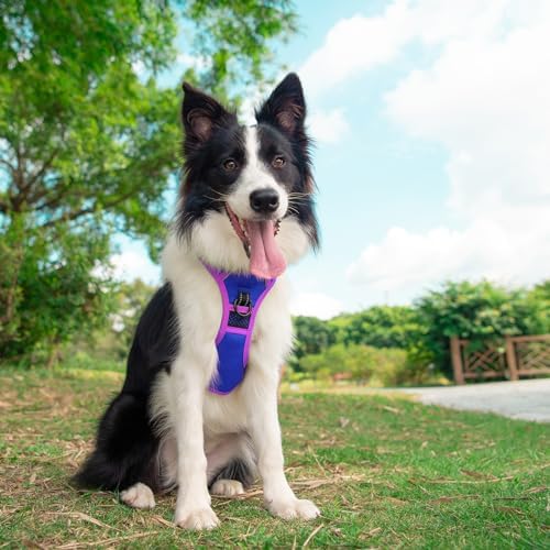 PHOEPET Upgraded No Pull Dog Harness, Reflective Adjustable Vest - Image 3