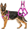 AKC Step-in Dog Harness – Adjustable Solid Color Vest by AmericanKennelClub