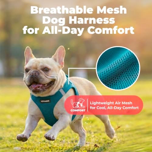 Voyager Step-in Air Dog Vest Harness - Image 5