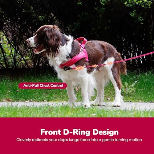 Didog No Pull Dog Harness for Medium Dogs, Breathable Mesh, Hot Pink - Image 5