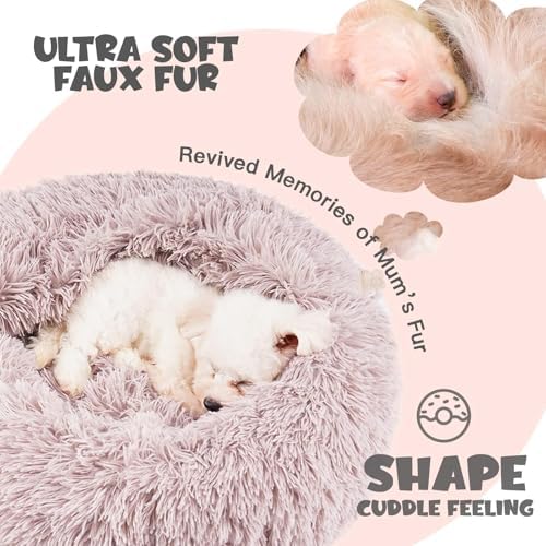 Himax Covered Small Dog Bed - Image 5