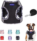 Step in Mesh Dog Harness and Leash Set Breathable Air Mesh Harness by BTDCFY