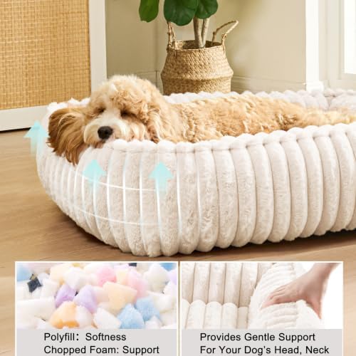 Medium Dog Bed Calming Cat Bed for Indoor Cats 24’’x20’’ Ivory - Image 3