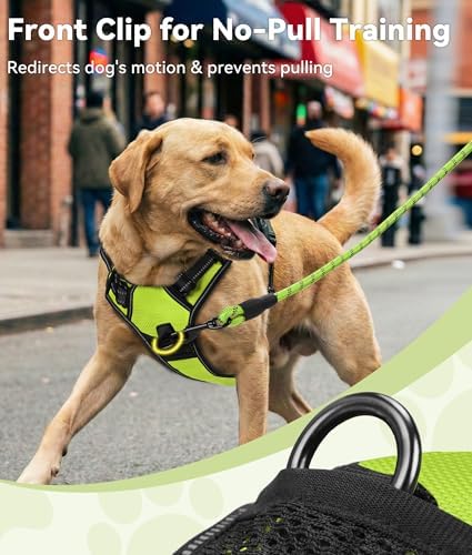Joytale No Pull Dog Harness for Large Dogs, Front Clip - Image 2