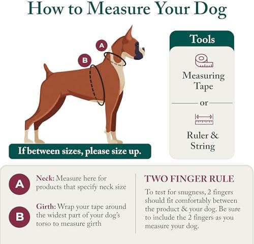 Sporn No Pull Dog Harness, Durable Nylon Mesh Harness - Image 3