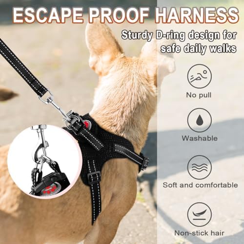 BARKBAY Small Dog Harness, No Pull Puppy Harness, Step-in Dog Vest - Image 4