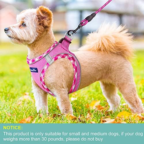 haapaw Dog Harness with Leash Set, No Pull Adjustable Reflective Step-in Puppy - Image 4