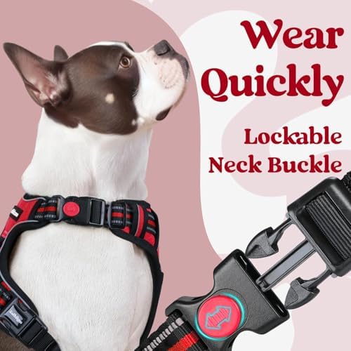 rabbitgoo Dog Harness Small Sized, Updated Easy On & Off - Image 3
