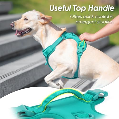 Sunraymascota No Pull Dog Harness - Image 6