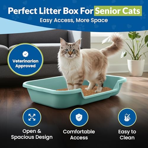 KittyGoHere Senior Cat Litter Box, Large Litter Pan, 2 Pack, Apple Green - Image 2