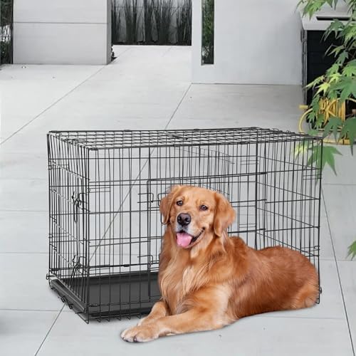 FDW | 48" Foldable Metal Dog Crate | Black | Cage - Image 2