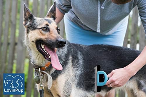 Cat & Dog Brush for Shedding – Deshedding Tools for Pets - Image 2