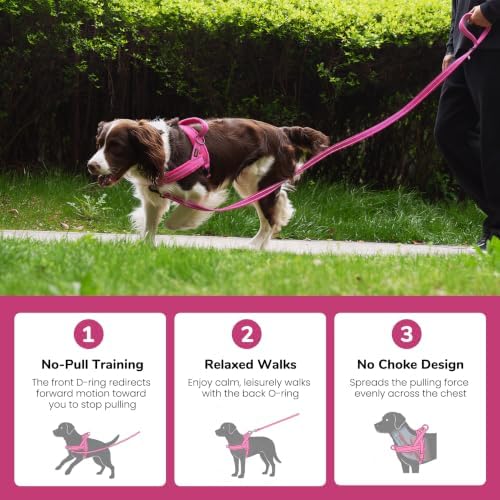 Didog No Pull Dog Harness for Small Dogs, Soft Flannel Padded, Hot Pink - Image 4