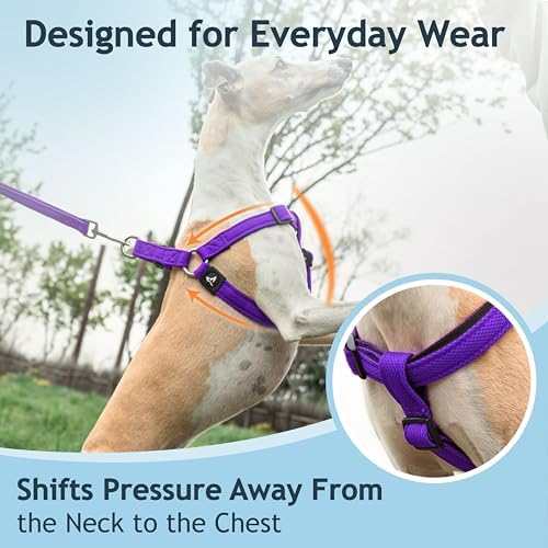 Kruz No Pull Dog Harness Heavy-Duty Pet Harness - Image 4