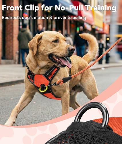 Joytale No Pull Dog Harness Medium Sized Dog, Front Clip - Image 2