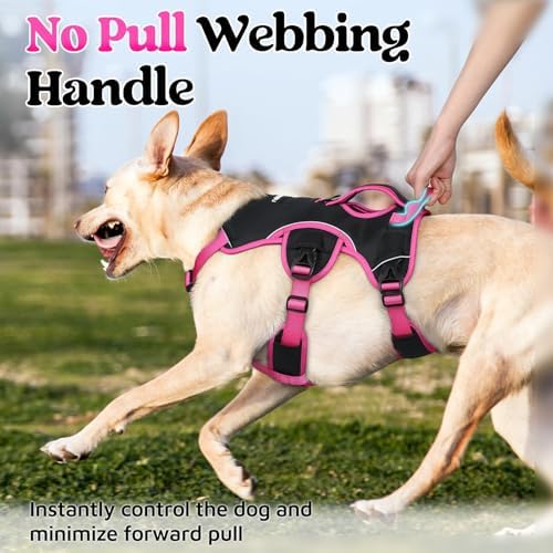 rabbitgoo Escape Proof Dog Harness - Image 4