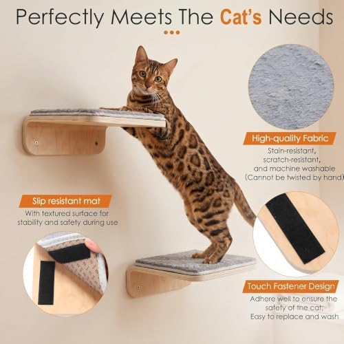 Wenqik 4 Pcs Cat Steps for Wall, Wooden Cat Climbing Shelf 10 x 10 x 4 Inch - Image 4