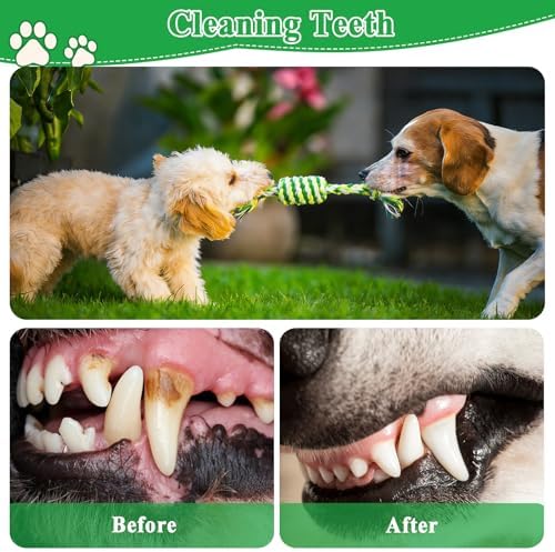 ASOCEA 5 Pack Cotton Rope Toys for Puppy Teething Small Dogs Green - Image 5