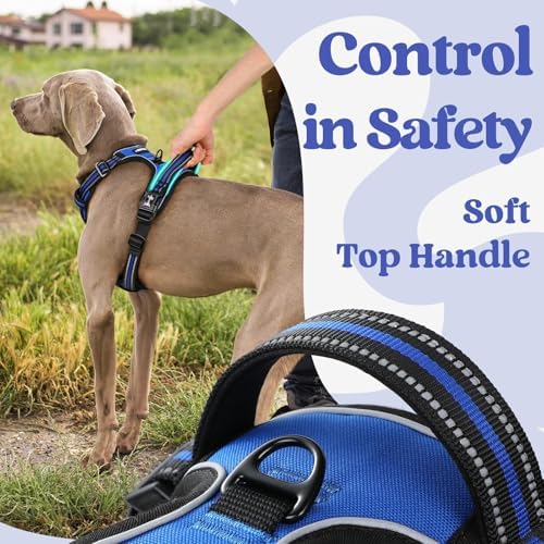 rabbitgoo Dog Harness for Large, Updated Easy On & Off - Image 4