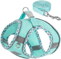 Dog Harness and Leash Set, No Pull Pet Harness by TomteNisse