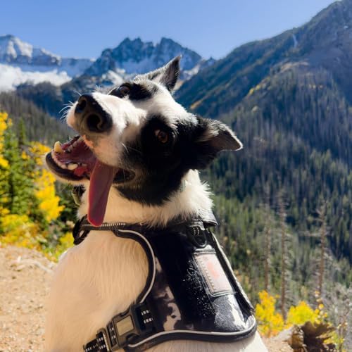 AUROTH Dog Harness for Small Medium Dogs, Tactical No Pull Dog Vest - Image 6