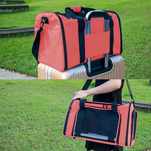 Soft Sided Carrier for Small Medium Cats Dogs, Removable Pad Collapsible Travel - Image 6