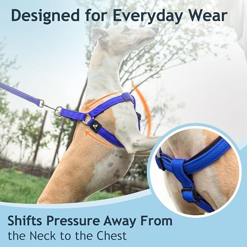 Kruz No Pull Dog Harness Heavy-Duty Pet Harness - Image 6