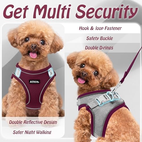 AIITLE Dog Harness and Leash Set, Step-in Puppy Pet Vest, Burgundy XL - Image 5