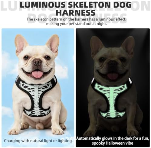 KOOLTAIL Halloween Dog Harness and Leash Set - Image 5