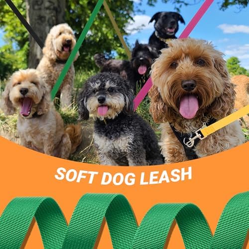 12 Pack Bulk Dog Leashes, 6FT Pet Lead Leash - Image 5
