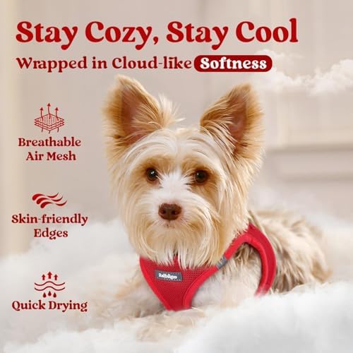 rabbitgoo Step-in Small Dog Harness, Puppy Vest - Image 3