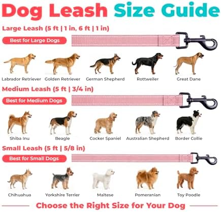 Best Pet Supplies Voyager Nylon Dog Leash - 6ft Pink - Image 6