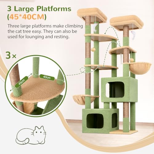 Globlazer S74E Pro Cactus Heavy Duty Maine Coon Cat Tree - Image 4