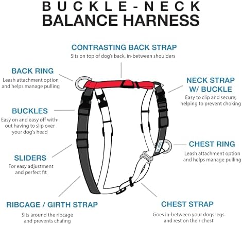 Blue-9 Balance Harness® for Dogs, Buckle-Neck - Image 2