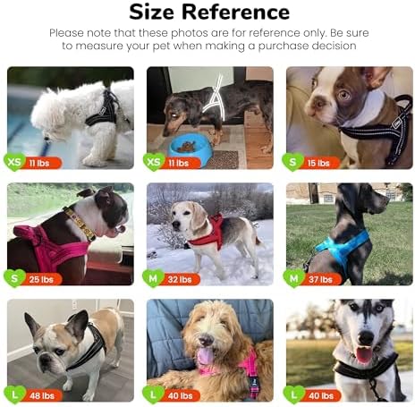 Didog No Pull Dog Harness for Small Dogs, Soft Flannel Padded - Image 6