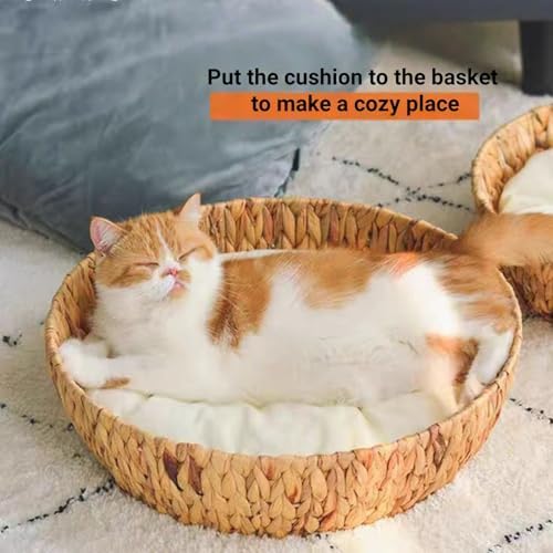 SHENGOCASE 2-Pack 15“ Round Soft Cat Kneading Pillow Cushion Bed - Image 6