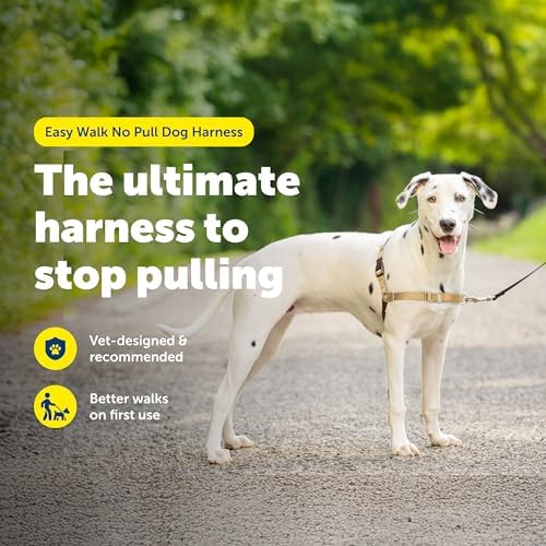 PetSafe Easy Walk Harness, No Pull Dog Harness, Medium/Large - Image 2