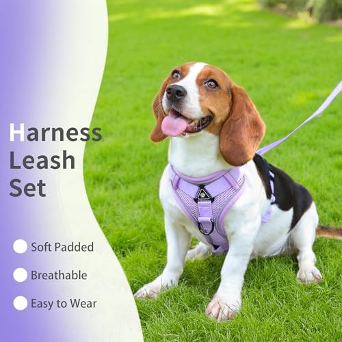 Dog Harness Small Sized Dog Pet Vest - Image 2