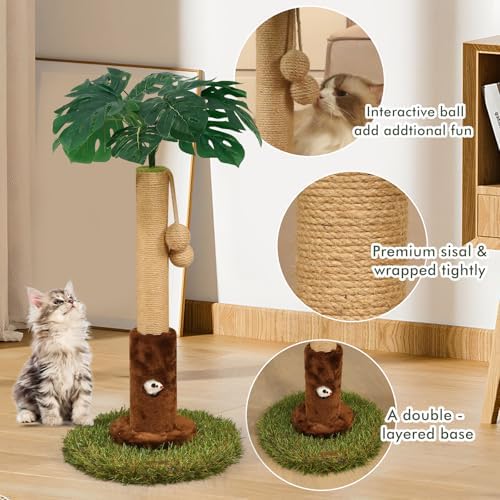 Woochpet 25" Kitten Scratching Post, sisal cat Scratcher Tree - Image 4