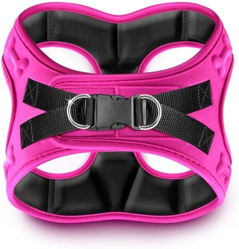Comfort Fit No Pull Dog Harness by MetricUSA