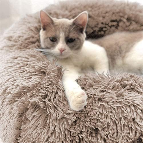 Cat Beds for Indoor Cats - Image 3