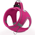 Joytale Step-in Dog Harness, Soft Breathable Mesh, Hot Pink S by Joytale