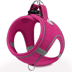 Joytale Step-in Dog Harness, Soft Breathable Mesh, Hot Pink S by Joytale